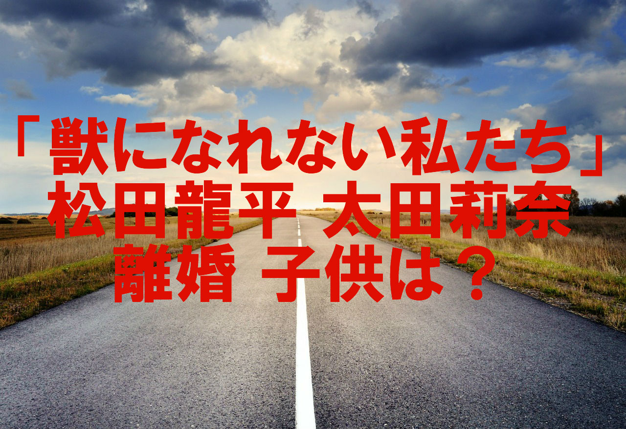 人気俳優 松田龍平と太田莉奈の離婚の真相 子供の親権は トレマブログ