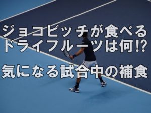 ジョコビッチが食べるドライフルーツは何⁉気になる試合中の補食